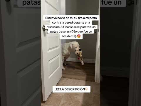 LEE LA DESCRIPCIÓN👇🏻