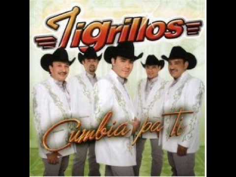 LOS TIGRILLOS bella casualidad