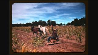 Sister Cally Fancy - Death Is Riding Through The Land (1)