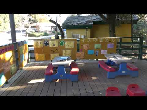 KIDSZOO 