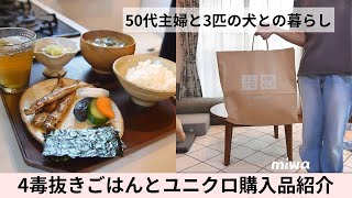 50代主婦と3匹の犬との暮らし / 四毒抜きごはん / 更年期障害 / 主婦の１日の食事 / ユニクロ購入品 / 犬のいる暮らし / トイプードル / ビションフリーゼ