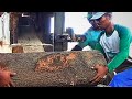 One Of The Most Hated Wood By Sawmill Workers