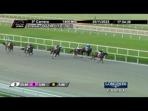 221125 c03 - 1° EAST HEAD (BRZ)