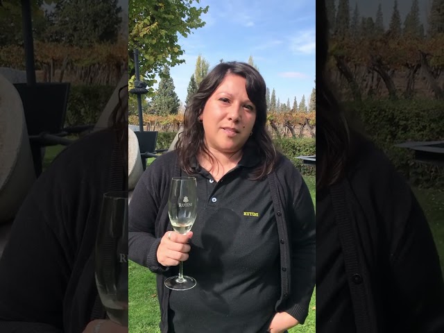 Vídeo relacionado con Mía (BILOGÍA EL SOMMELIER nº 1)