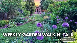 Weekly Garden Tour / Alliums, Bearded Iris, Late Tulips, Lilacs, Geums, Azalea, Repetition Plantings