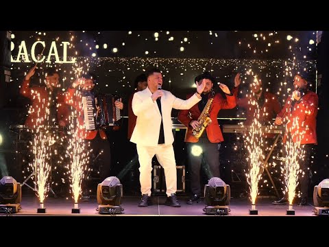 Alex de la Caracal- Colaj Etno Am avut o cararusa & Hei hai lume Cover