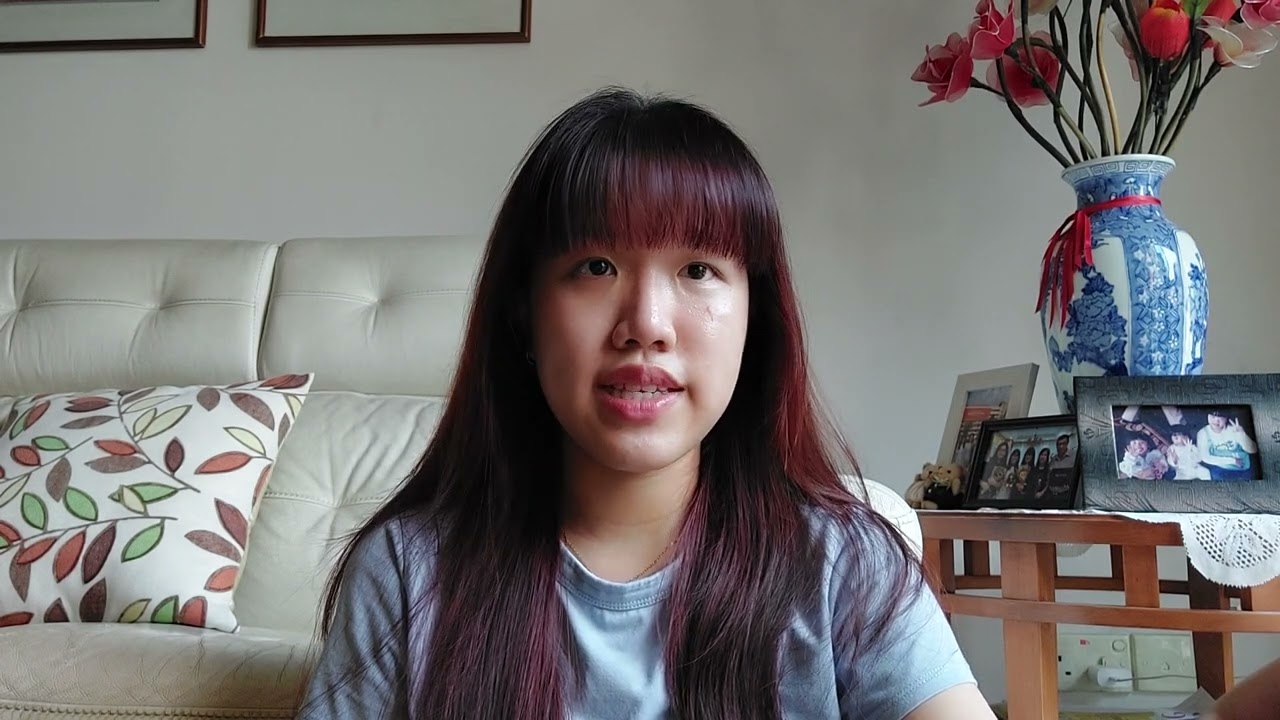 AB0403 Python Project Reflection_Joanne_Chan