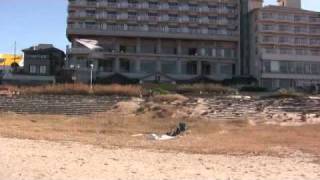 Sports kite/ Paradise of Krystal WW!?