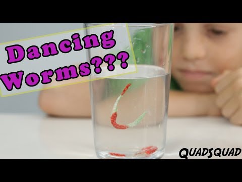 Dancing Gummy Worms - A Fun Science Experiment