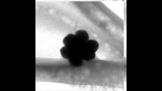 Superlattices assembled through shape-induced directional binding