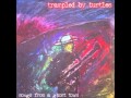 Wrong Way Street - Trampled by Turtles