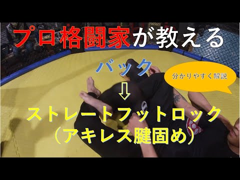 【バック】MMA総合格闘技・レスリング・柔術～バック→ストレートフットロックアキレス腱固め～