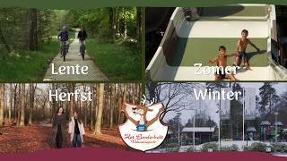 Vakantiepark Het Lierderholt - Apeldoorn - Image N°2