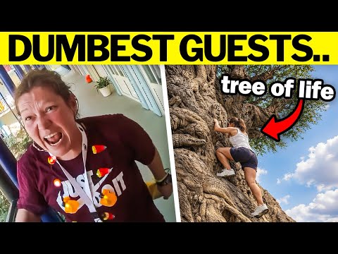10 DUMBEST Things Guests Have Done at Disney World!