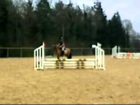 Mon Ecole d'Equitation Nintendo DS