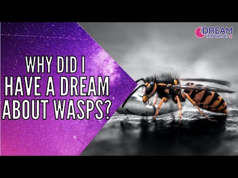 Dreams About Wasps: Meaning & Spiritual Messages