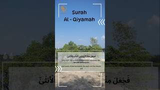 Download lagu Lantunan Merdu Surah Al Qiyamah Ayat 39-40 #islamicshorts mp3