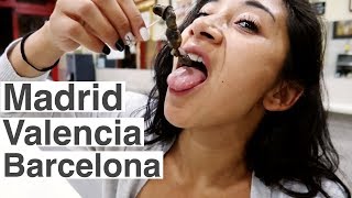 What to EAT (and drink) in Spain | Barcelona | Madrid | Valencia