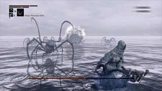 Bloodborne - Rom the Vacuous Spider