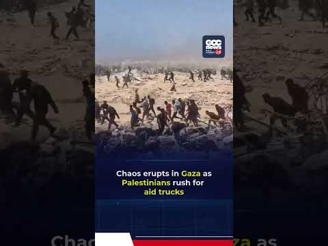 Dozens Killed Near Gaza Aid Trucks Amid Hunger Crisis | Israel Gaza War Update