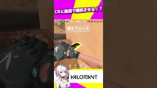 CRに加入したjasperさんをランクで笑顔にした神回 #shorts