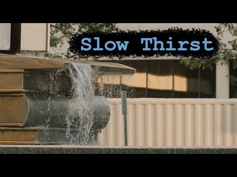 Mindless Paresthesia - Slow Thirst