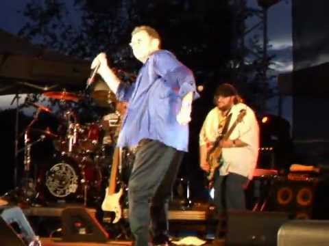 richard gotainer " le sampa "au chien à plumes