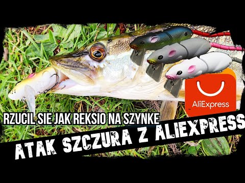 Szczupak zjada szczura - rzucił się jak Reksio na szynkę - szczur z Aliexpress w akcji! FishHunter