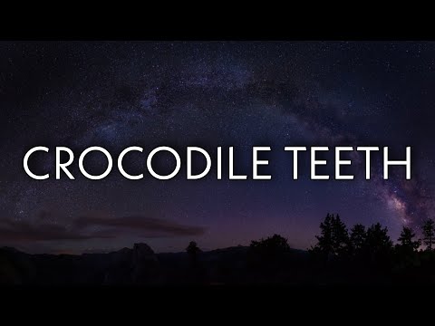 Nicki Minaj, Skillibeng - Crocodile Teeth (Lyrics)