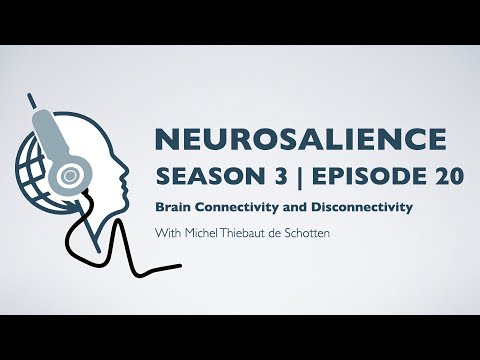 Neurosalience #S3E20 with Michel Thiebaut de Schotten - Brain Connectivity and Disconnectivity