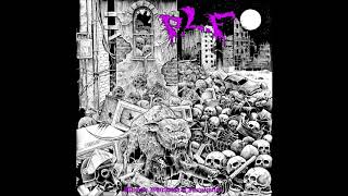 P.L.F. - "Page by Page" (ASSUCK Cover) - Ultimate Whirlwind of Incineration (2014)