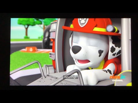 Paw Patrol: Marshall Sleeping Dreams (2)
