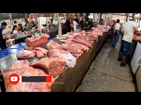 Você Não Viu Isso na Feira de Aracaju 2025! Segredos Revelados