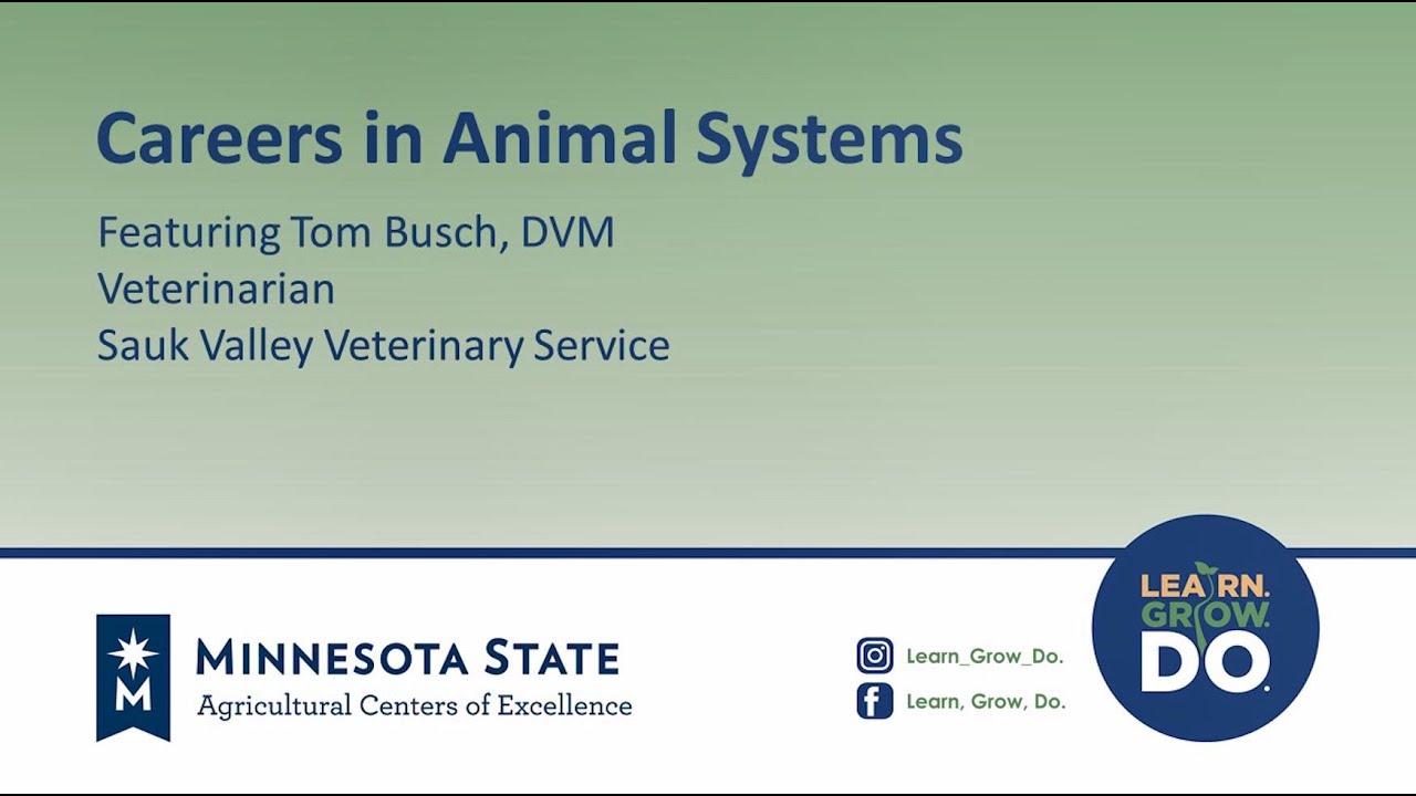 Careers in Animal Systems - What Does a Veterinarian Do?