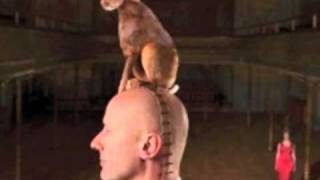 Steve MIller Band Close Together