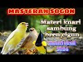 MASTERAN VIRAL SOGON MATERI KENARI SAMBUNG BREN CIGUN Masteransogon
