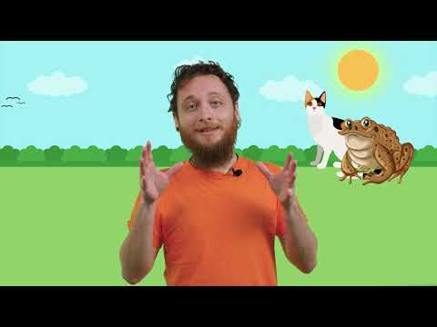 Episodju Nru 152 – Iż-żrinġ