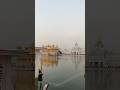 Shri Harmandir Sahib Amritsar Shorts Love Wahguru Gurdwara Punjab Goldentemple Waheguruji