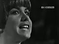 Shivaree The Lovin Spoonful The Beau Brummels