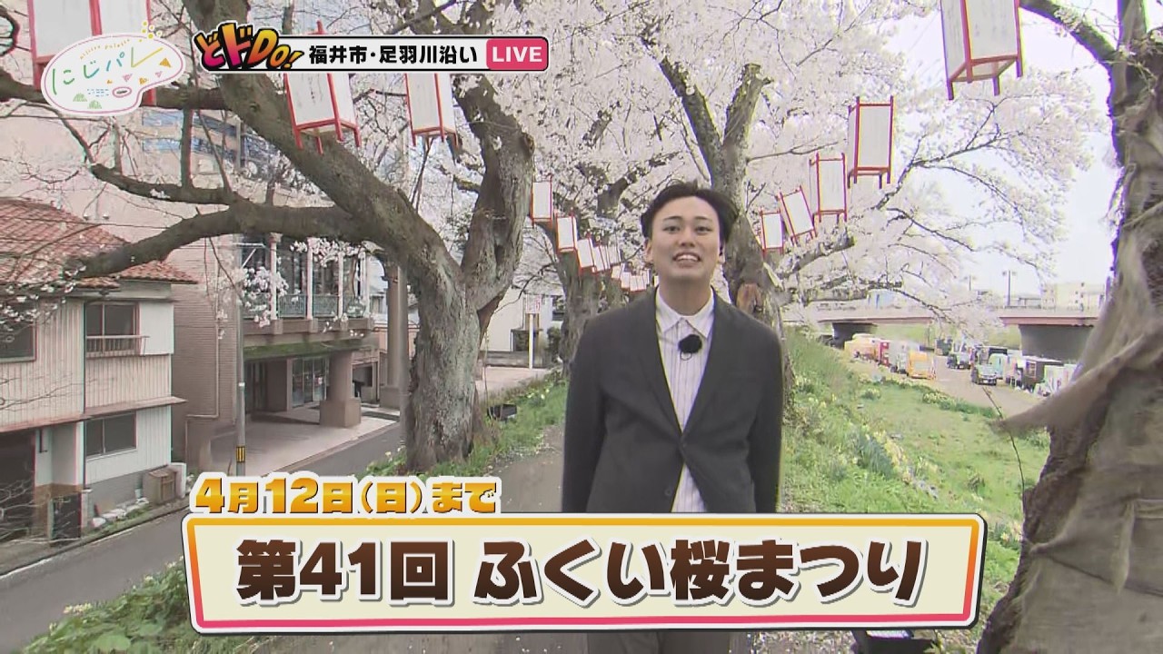 にじパレ どドＤｏ！ ～咲いた咲いた！ふくい桜まつり～