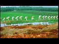Arupukotta Akka Ponnu Vallarasu Movie Song