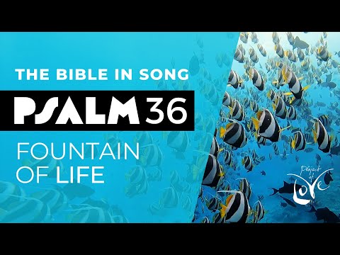 Psalm 36 - Fountain Of Life || Bible in Song || NO AI! || #37