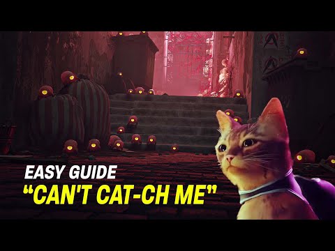 Stray's Most Difficult Trophy - CAN'T CAT-CH ME Walkthrough