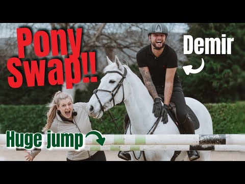 Horse Swap ~ Demir Jumps Jammy HUGE!