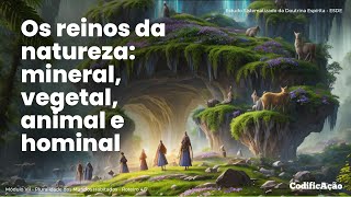 ESDE M7R4 - Os reinos da natureza: mineral, vegetal, animal e hominal