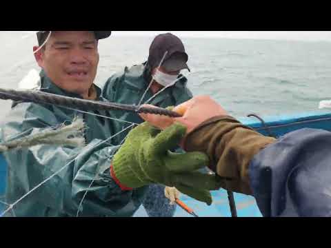 Amazing Gill Net Fishing Line On the Boat #02