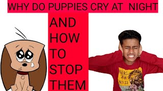 HOW TO STOP PUPPY CRYING AT NIGHT|PET CARE|DOG