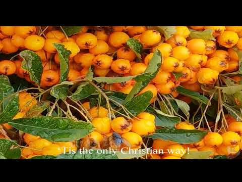 Holy Day Jehovahs Rest 2