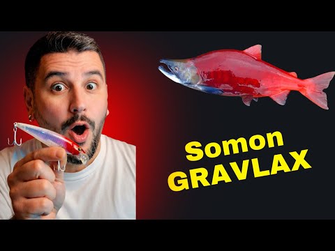 2 Gün Bekledim… Sonuç ŞOK!