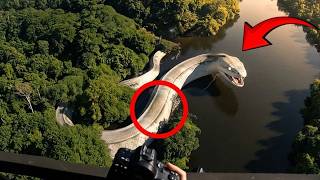 Maiores Animais Já Capturados Pela Câmera